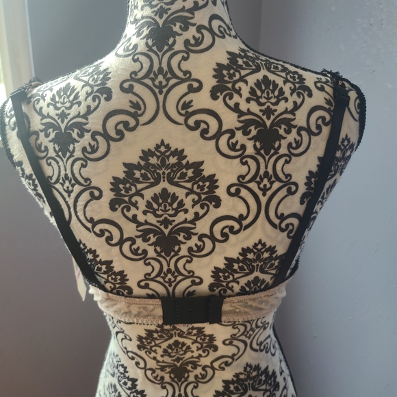 3 Piece Pink Scalloped Lingerie Set NWT - Picture 9 of 9